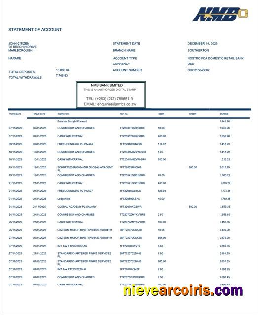 Zimbabwe NMB Bank statement of account Word and PDF